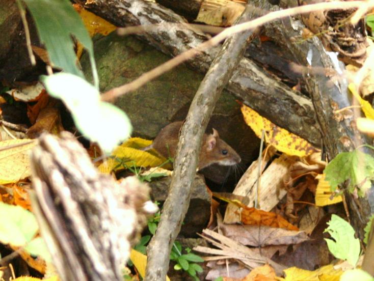 c0155902_2204881.jpg
