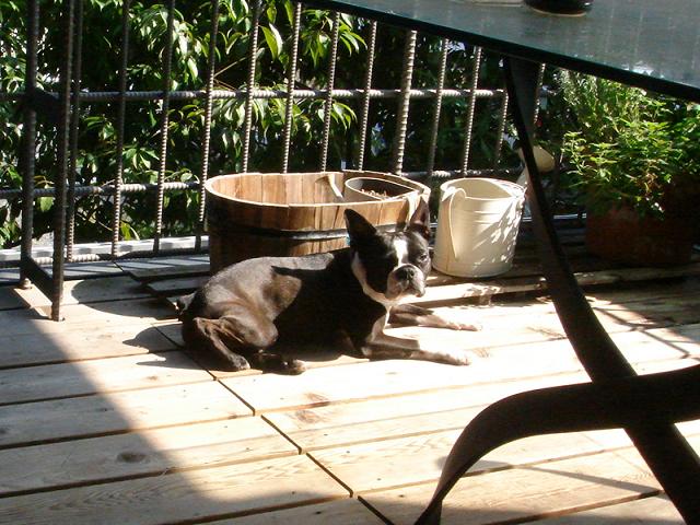 b0027203_04772.jpg