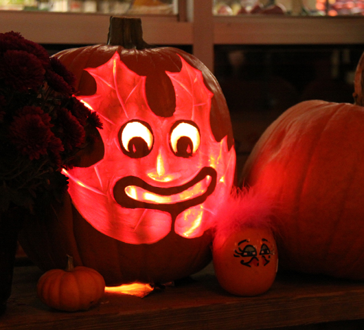 カボチャいっぱいのハロウィン・デコレーション_b0007805_2059685.jpg