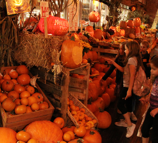 カボチャいっぱいのハロウィン・デコレーション_b0007805_2105184.jpg