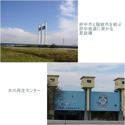 c0051105_11522.jpg
