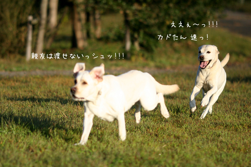 c0089005_9213750.jpg