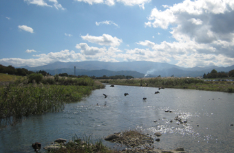 最上川沿いに北流しました。_c0195909_15373186.jpg