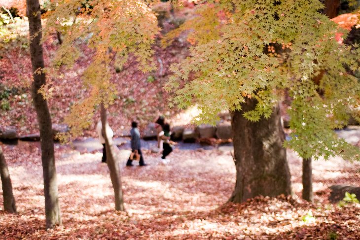 d0146912_10196.jpg