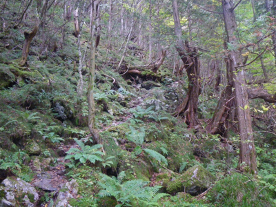 秋の北アルプス（徳本峠、大滝山、蝶ヶ岳、上高地） 　その２_e0066813_0554744.jpg