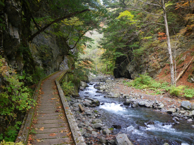 秋の北アルプス（徳本峠、大滝山、蝶ヶ岳、上高地） 　その２_e0066813_0574469.jpg