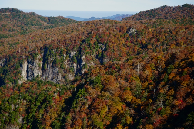 大台ケ原大蛇嵓の紅葉_e0177413_020401.jpg