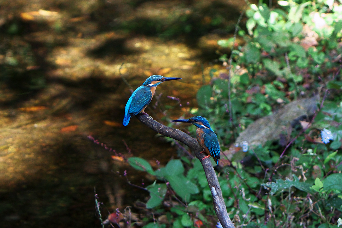 c0115616_5471353.jpg
