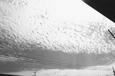 e0129517_19315057.gif