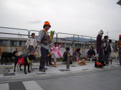 c0090220_12285645.jpg