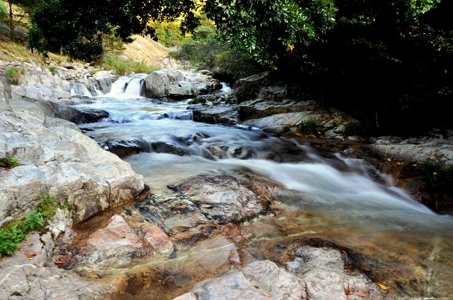 c0195828_1448599.jpg
