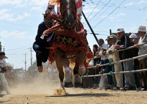 2009/10/１９ 河尻神社秋の大祭　さがり馬特集_c0132230_21262361.jpg