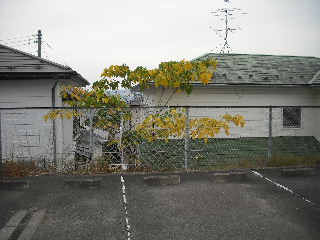 工事終了・・・でも追加 笑_f0031037_2017278.jpg