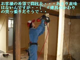 工事終了・・・でも追加 笑_f0031037_2064365.jpg
