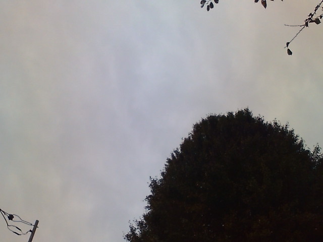 曇り。_a0022038_13503075.jpg