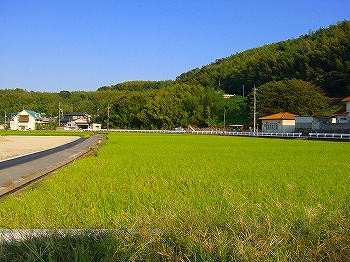 c0047339_1718494.jpg