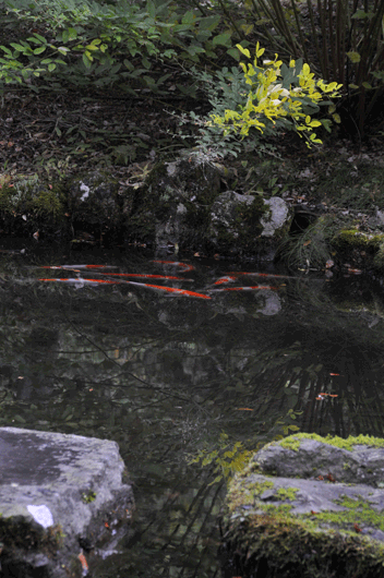 霊松寺(1)_c0093046_715969.gif