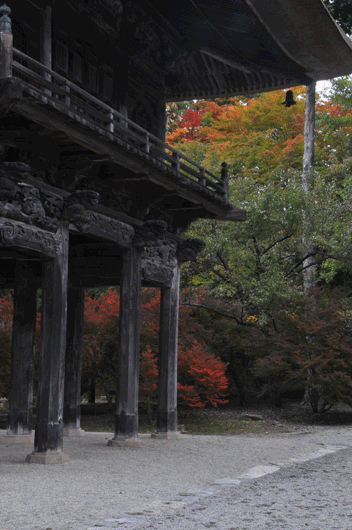 霊松寺(1)_c0093046_722862.gif