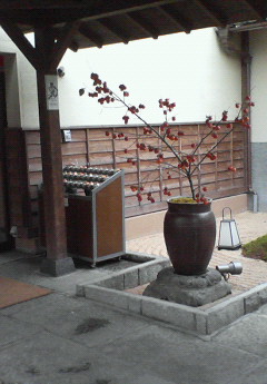 b0051052_1911564.jpg