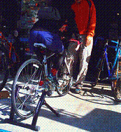 Ｃｉｎｅｌｌｉ_b0113959_1010162.gif