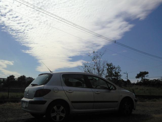 e0002472_0122646.jpg
