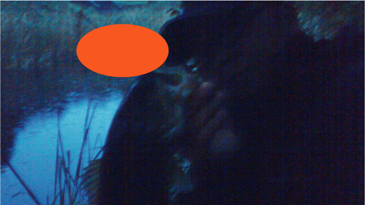 5日目_a0040876_21151653.gif
