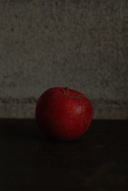 10月24日(土)_b0173176_2334165.gif