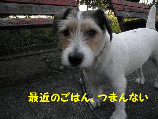 a0118079_23481731.jpg