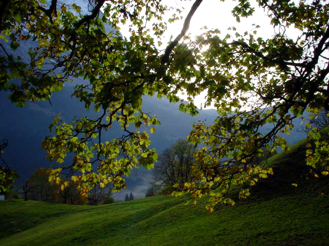 b0110880_21102847.jpg