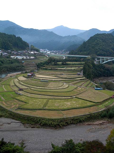 d0036883_225199.jpg