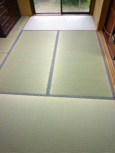 イグサ_c0092689_1824054.jpg