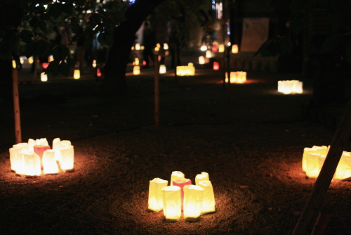 f0093592_158656.jpg