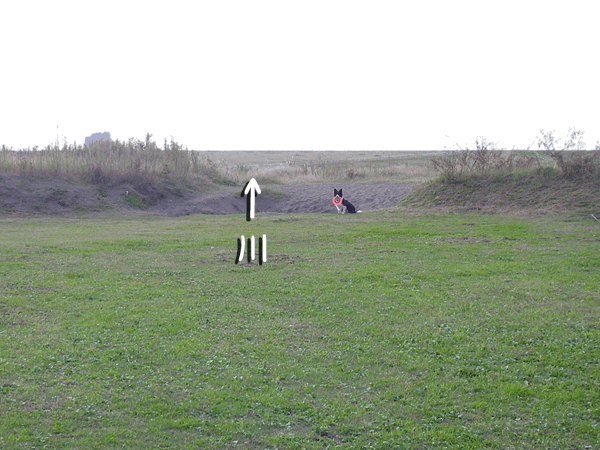 f0114893_10133567.gif