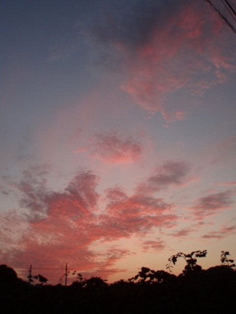 f0181295_142145.jpg