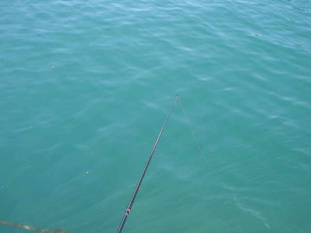 c0147398_0431387.jpg