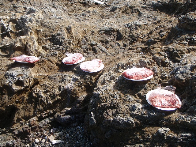 c0147398_044080.jpg