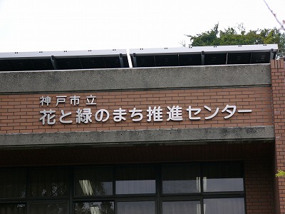 a0123003_7182953.jpg