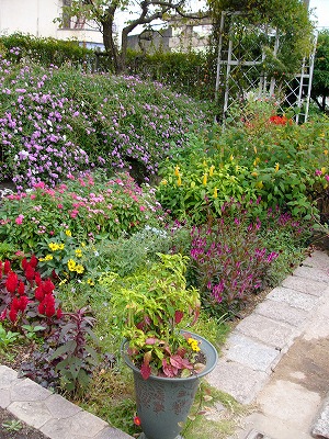 a0123003_8245445.jpg