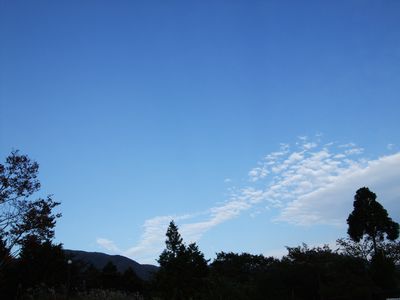 d0149103_9212781.jpg