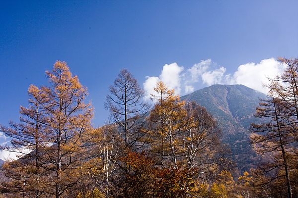 e0193503_16422167.jpg