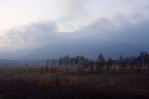 e0193503_16482023.jpg