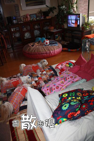 c0011204_1726477.jpg