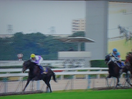 菊花賞2009ゴール_c0052304_1633028.jpg
