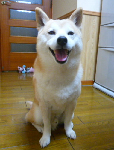 e0131506_0553130.jpg