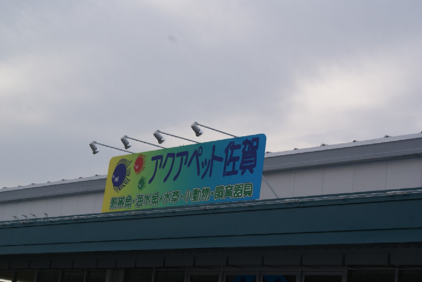 e0171510_1862048.jpg