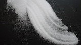 展覧会履歴■2008-2009_e0091712_5492932.jpg