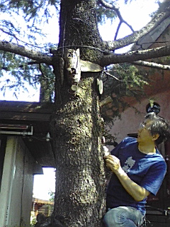 f0049813_9595369.jpg