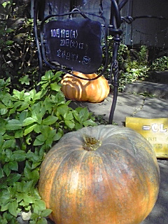 f0049813_9595392.jpg