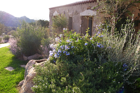 Sardegna2-Hotel Petra Segreta1_d0063314_17572245.jpg