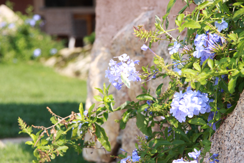 Sardegna2-Hotel Petra Segreta1_d0063314_17591078.jpg